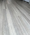 handysquirrelweb13.JPG