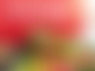 Γιατί οι χώρες της Μέσης Ανατολής προτιμούν τα φρέσκα ινδικά προϊόντα