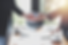 Screenshot 2024-04-09 035253.png