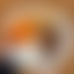 bean lentil tomato dip