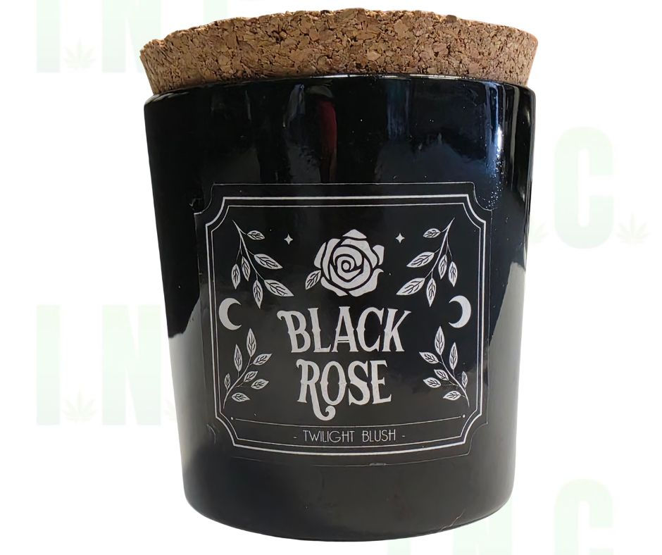Black Rose Twilight Blush Candle Front View