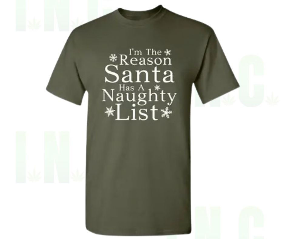 I'm the Reason Santa Has a Naughty List Tee Front View