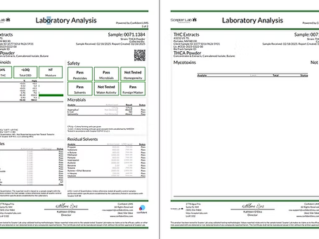 Spacerocks - Amnesia Lemon