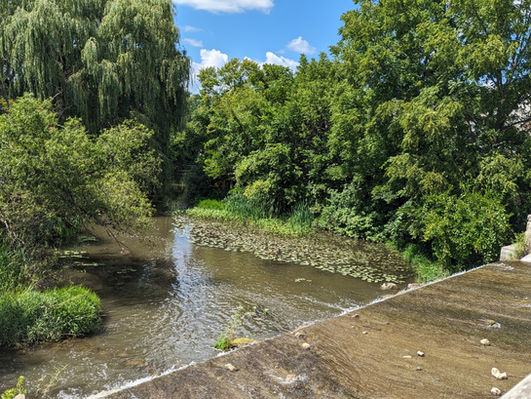 Old Paper Mill Dam at Trippe Lake