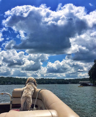 Whitewater Lake Dog Friendly Spots