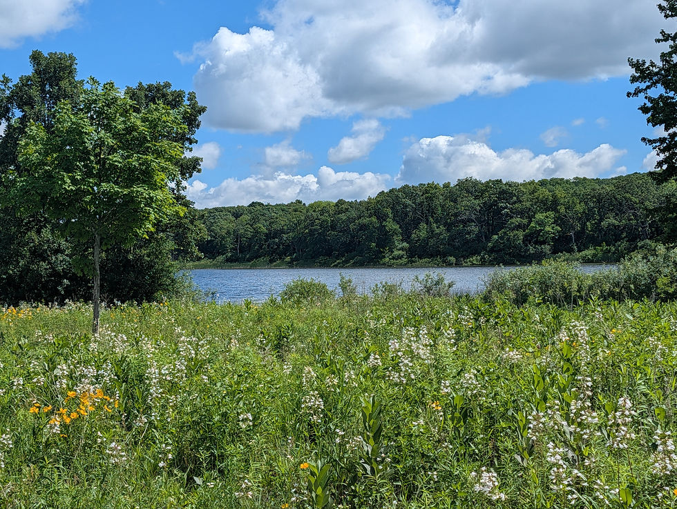 Ottawa Lake Native Seed Collection