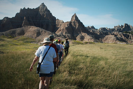 Group of hikers following leader