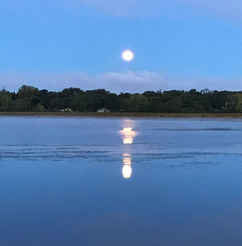 Reflections on Pell Lake