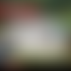 What CertainTeed Roofing Shingle is Right For You?