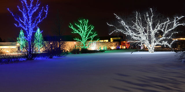 G12 christmas lights Clearance