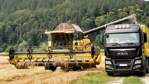 Frete de grãos recua em quatro estados produtores