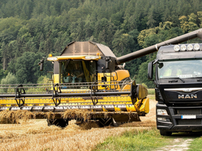 Frete de grãos recua em quatro estados produtores