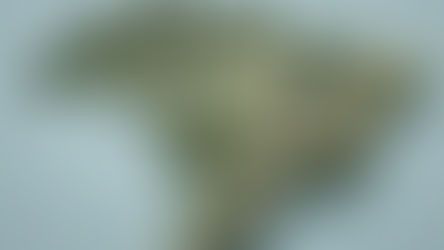 Rodovias mapeadas: Brasil revela rotas e cargas por transportador