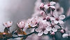 AdobeStock_321448216.jpeg