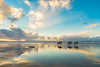 AdobeStock_133297039.jpeg