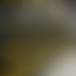 Garage transformed and organized with bin system for easy storage and maintenance