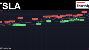 Trading Ideas $TSLA / Tesla Inc