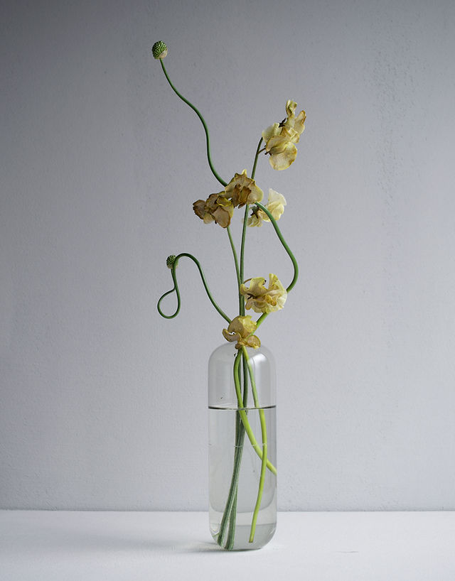 About | Sei Nishimura Glass Works 西村青