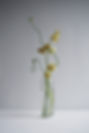 Vase-slit- M