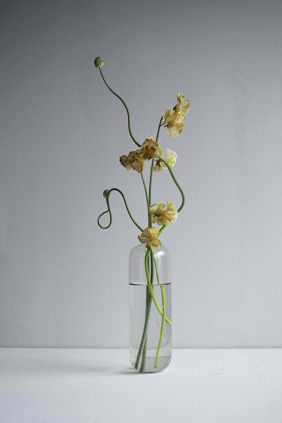 Vase-slit- M