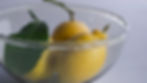 Frill Bowl L