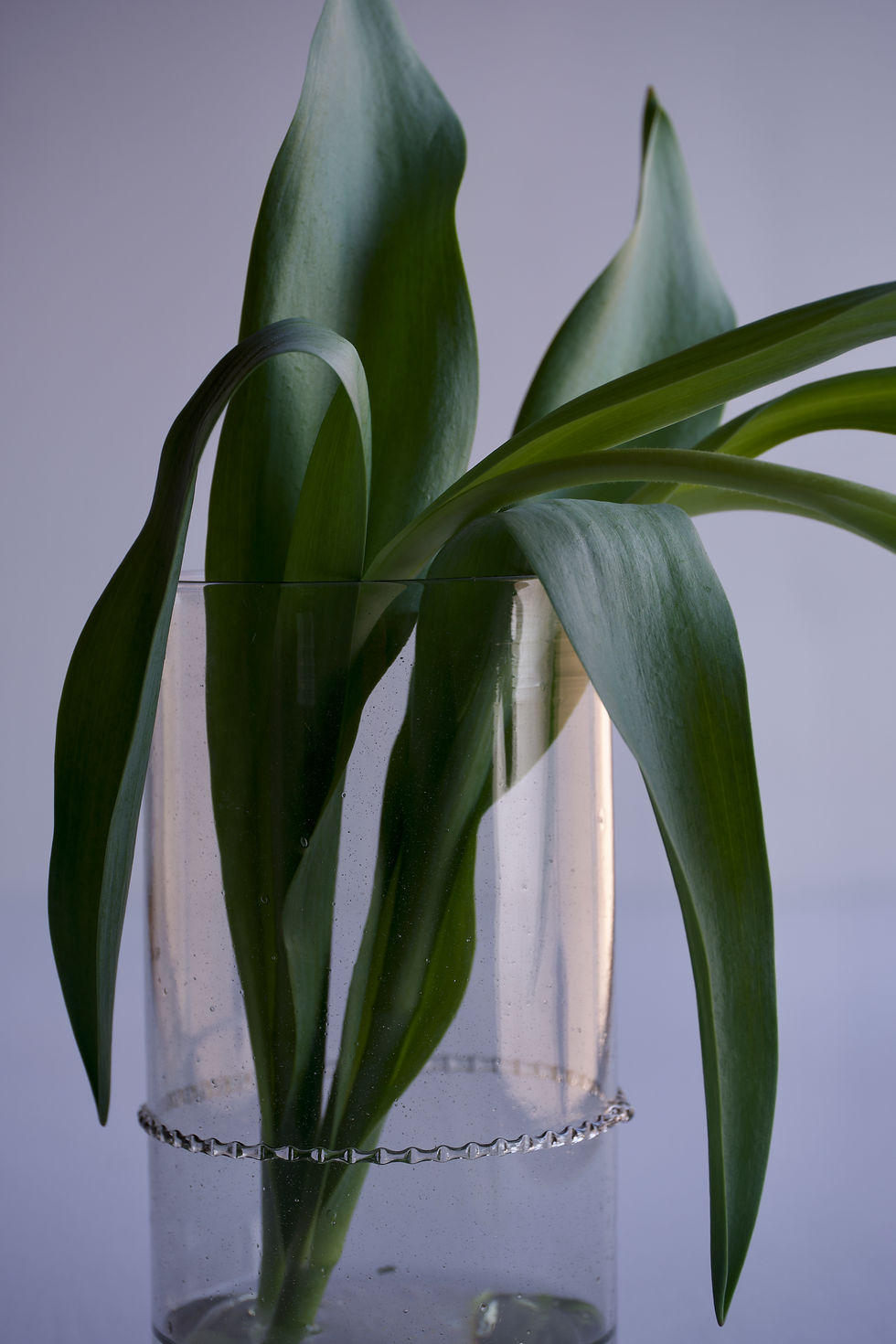 Vase-rail- L