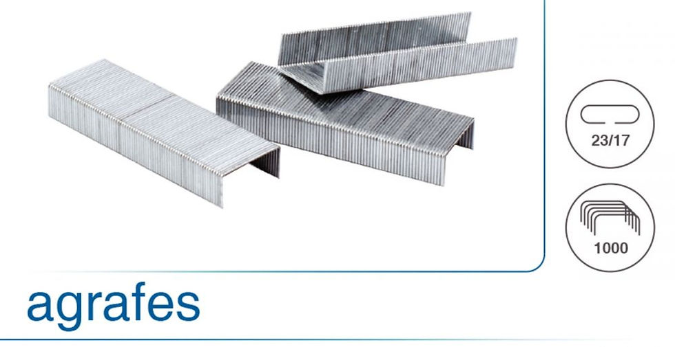Boîte de 1000 agrafes 23/17 galvanisées