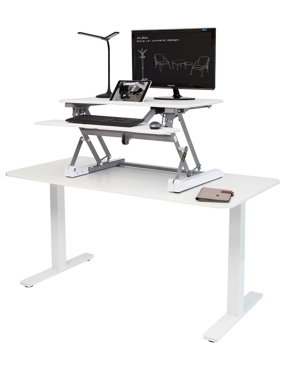 Miniature : Sit to Stand STANY