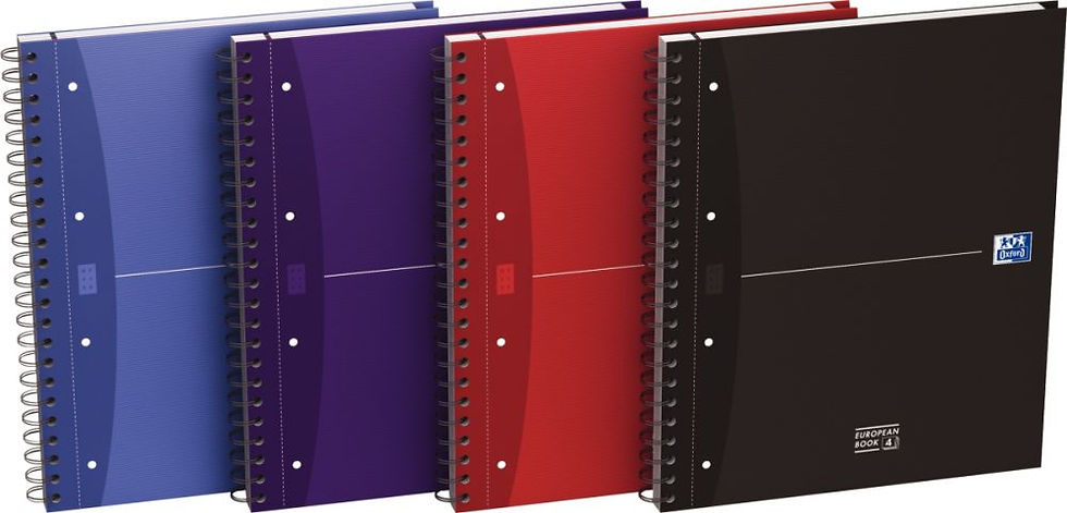 Cahier organizer European book 240 pages, feuille détachable 21x29,7 cm, seyès