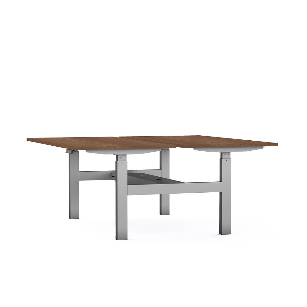 Miniature : Bench motorisé ELEKTRIKA - Piétement Gris Aluminium