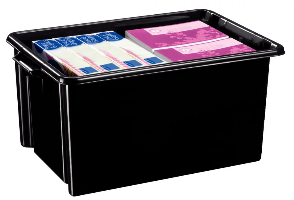 Bac de rangement 48,5 litres noir