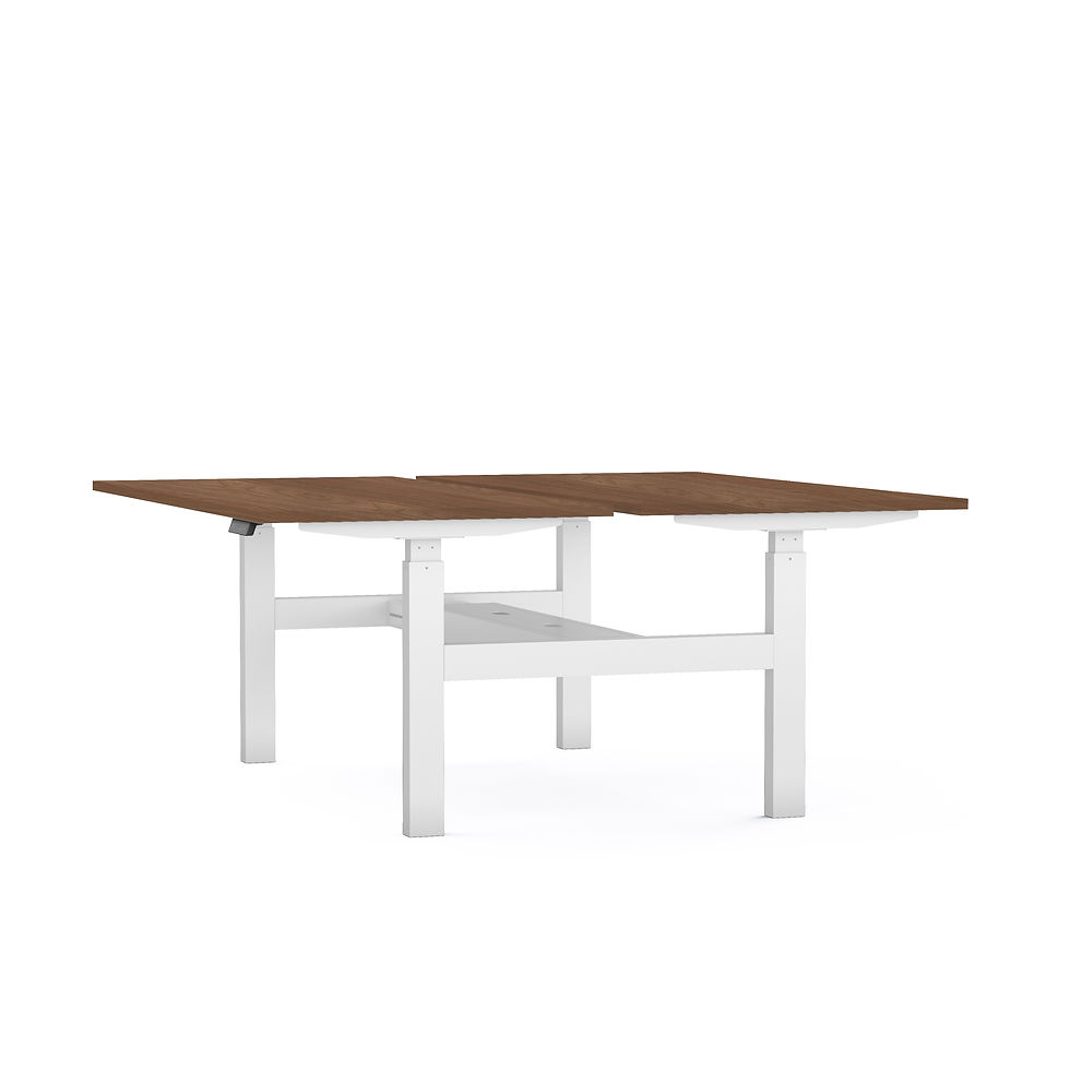 Miniature : Bench motorisé réglable en hauteur ELEKTRIKA - Piétement Blanc