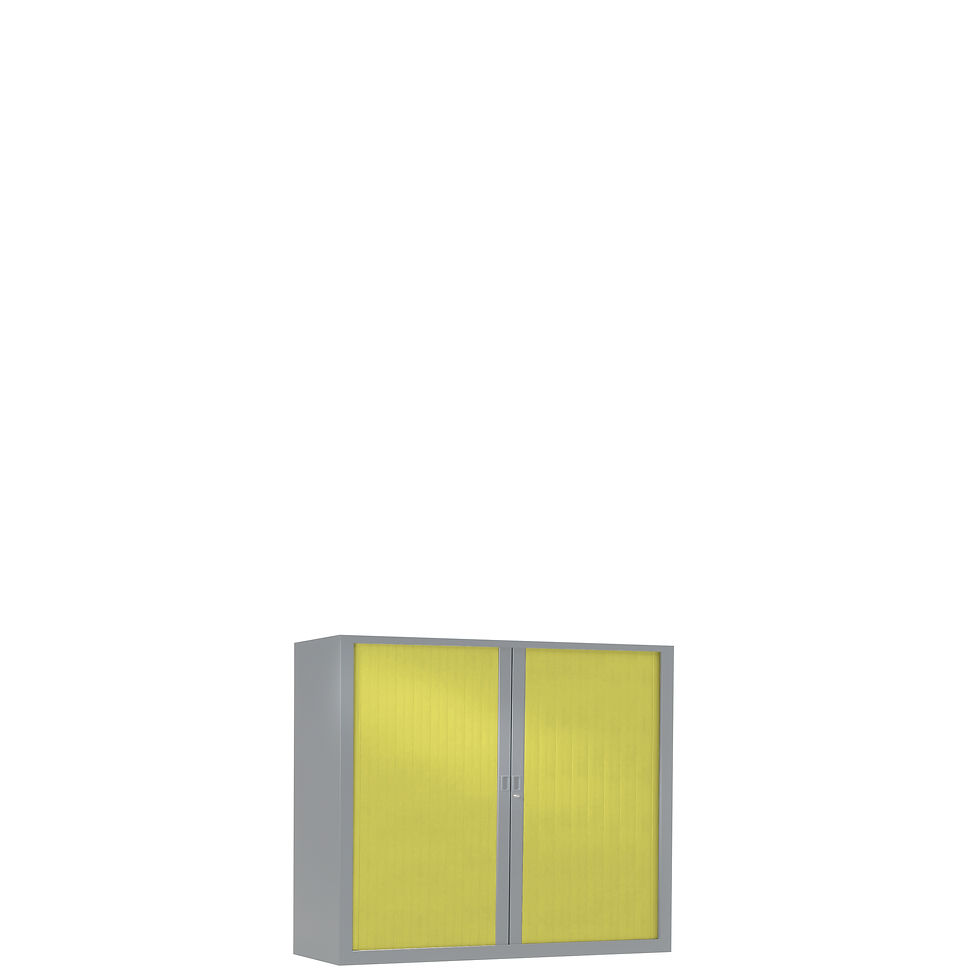 Miniature : Armoire à rideaux bicolore 69.5 x 80 cm - Corps gris aluminium - Rideaux Color
