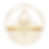 damaged_skin_barrier_gold_icon_TRANSPARENT.png