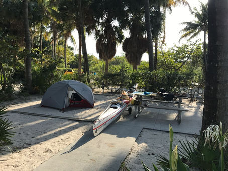 “Palm trees near Peanut Island campground in Florida”