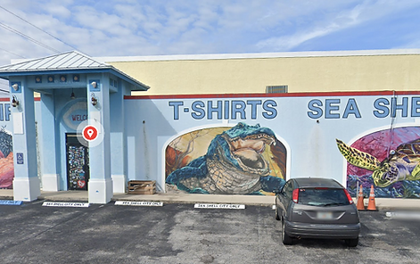 Sea shell city Florida