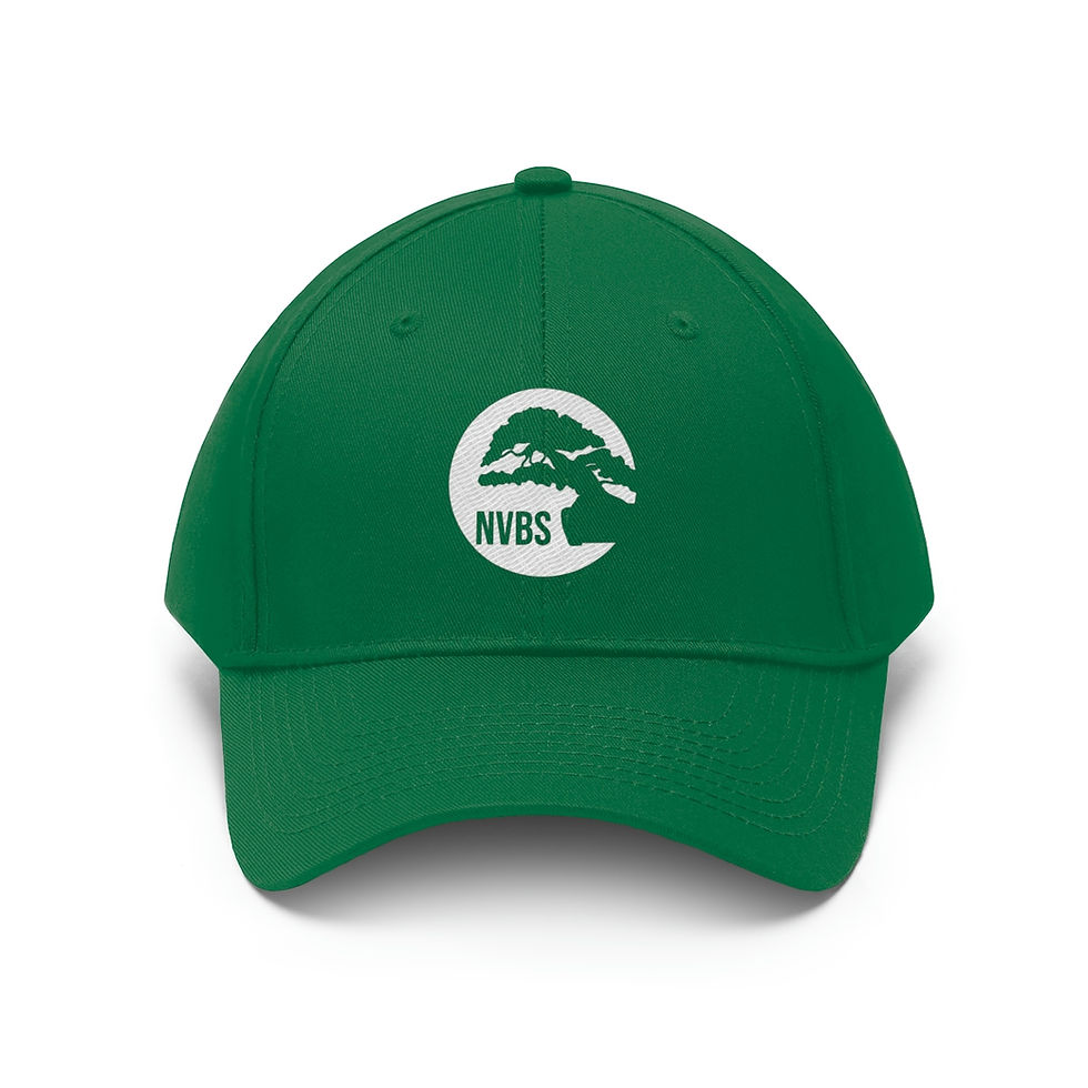 Thumbnail: Colors/White Logo Twill Hat