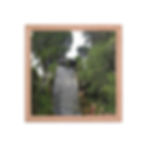 Thumbnail: Waterfall of life
