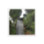 Thumbnail: Waterfall of life