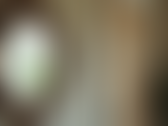 Discover Unique Property Gems for Your Home