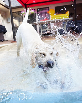 pool45.jpg