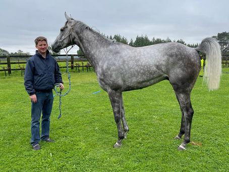 Agent Saonoir runs at Warwick