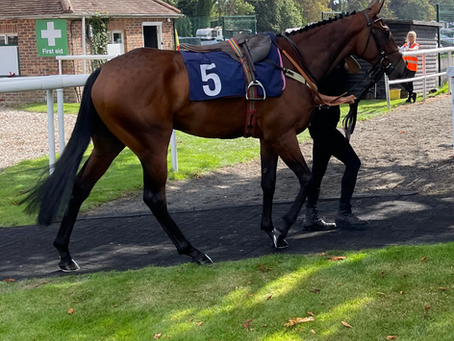 Happy days, Mr Freedom win at Fontwell