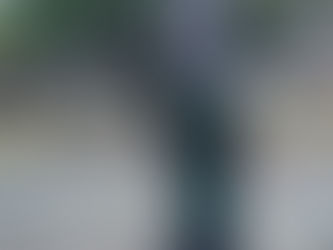 Great Day was had by all at Fontwell