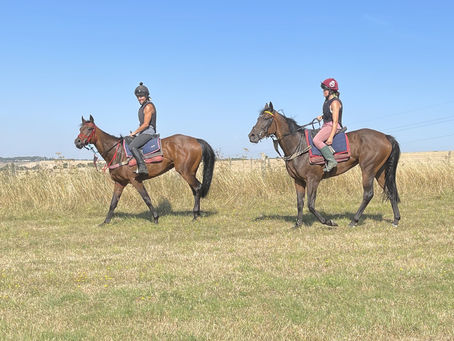 Have a day at the races - end up on the Winners Rostrum and buy a horse.