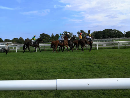 Happy Sunday at Wincanton