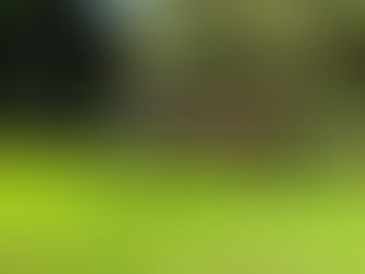 Off to the races in the sun.