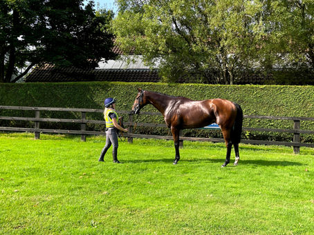 Off to the races in the sun.