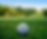 Charity Golf Day