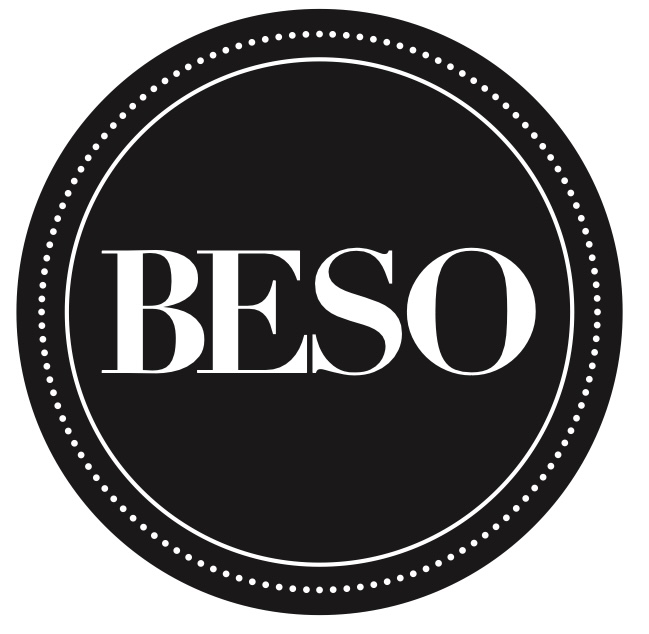BESO logo
